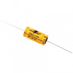 Chemical capacitor 100 μF (pair) | LSC-1000NP